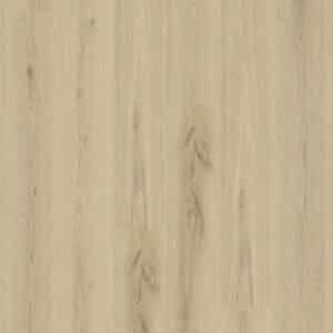 Essence 55 Primary Oak Beige