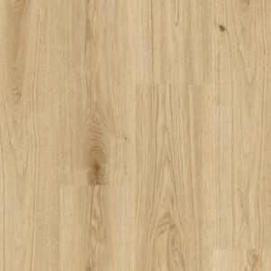 Essence 33/55 Primary Oak Light Brown