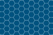 ALTRO Tegulis Swatches - Hexagon 112mm x 130mm